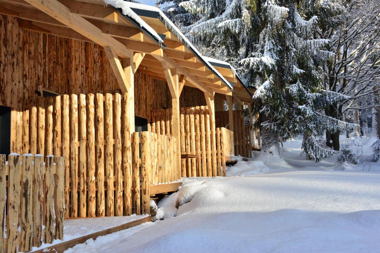 Montanie Resort Desná Екстериор снимка